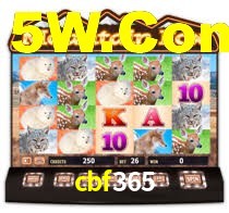 Interface Premium cbf365